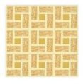300X300 mm Square Series Floor Tiles