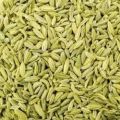 Organic Raw Green fennel seeds