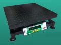 Stainless Steel Platform Scale