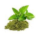 Organic Green Tulsi Powder