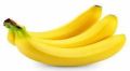Common fresh cavendish banana
