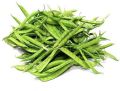 Common green fresh guar beans