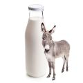 White Fresh Liquid donkey milk
