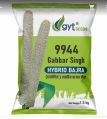 gabbar singh hybrid bajra seeds
