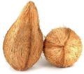 Organic Brown Solid semi husked coconuts