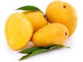 Yellow Organic Oval a grade mango