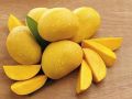 Yellow Organic Oval fresh mango