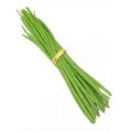 Green natural drumstick