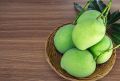 Oval Organic natural green mango