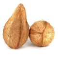 Natural Hard Brown Solid raw coconut