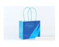 Blue Shopping Paper Bags