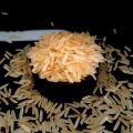 JS Common Soft 1509 golden sella basmati rice