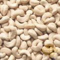 cashew nuts