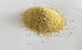 proso millet ( Non germinated )