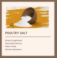 White poultry salt powder