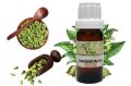 Cardamom Oil