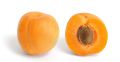 Pale Yellow Apricot