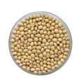 Nature soybean seeds