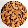 Irani Mamra Almond Nuts