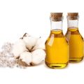 Cold Pressed Cotton Seed Oil