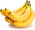 Yellow fresh banana
