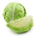 Green Green Fresh Cabbage