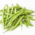 Organic Green Fresh Cluster Beans
