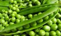 Whole Fresh Green Peas