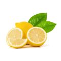 Round Yellow fresh lemon
