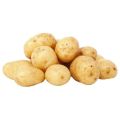 Organic Brown fresh potato