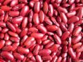 Organic red kidney beans