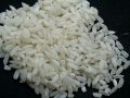 Organic Soft White Short Grain Non Basmati Rice