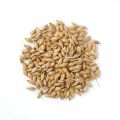 Natural Brown Barley Seeds