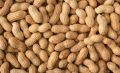 Brown natural whole groundnut