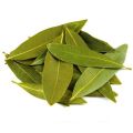 Spicy Green Bay Leaf
