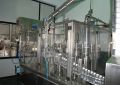 Packaged Drinking Water Filling Machine