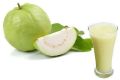 Common White Guava Pulp