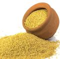 Yellow Fresh Foxtail Millet Seeds