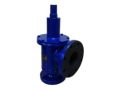 Stainless Steel Cast Iron Flanged Blue Teleflo pressure relief valve