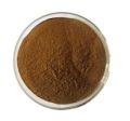 Spray Dried Chicory Powder