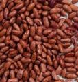 Jammu Kidney Beans