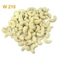W210 Cashew Nuts