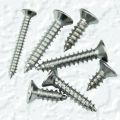 CSK Phillips Self Tapping Screw