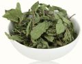 Natural Green dried mint leaves