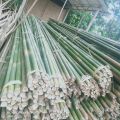 Bamboo Poles muli