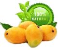 Yellow Organic Alphonso Mangoes