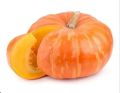 Orange Pumpkin