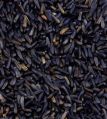 Niger seeds