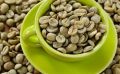 AAA Garde Robusta Parchment Coffee Beans