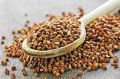 Buckwheat Millet Seeds